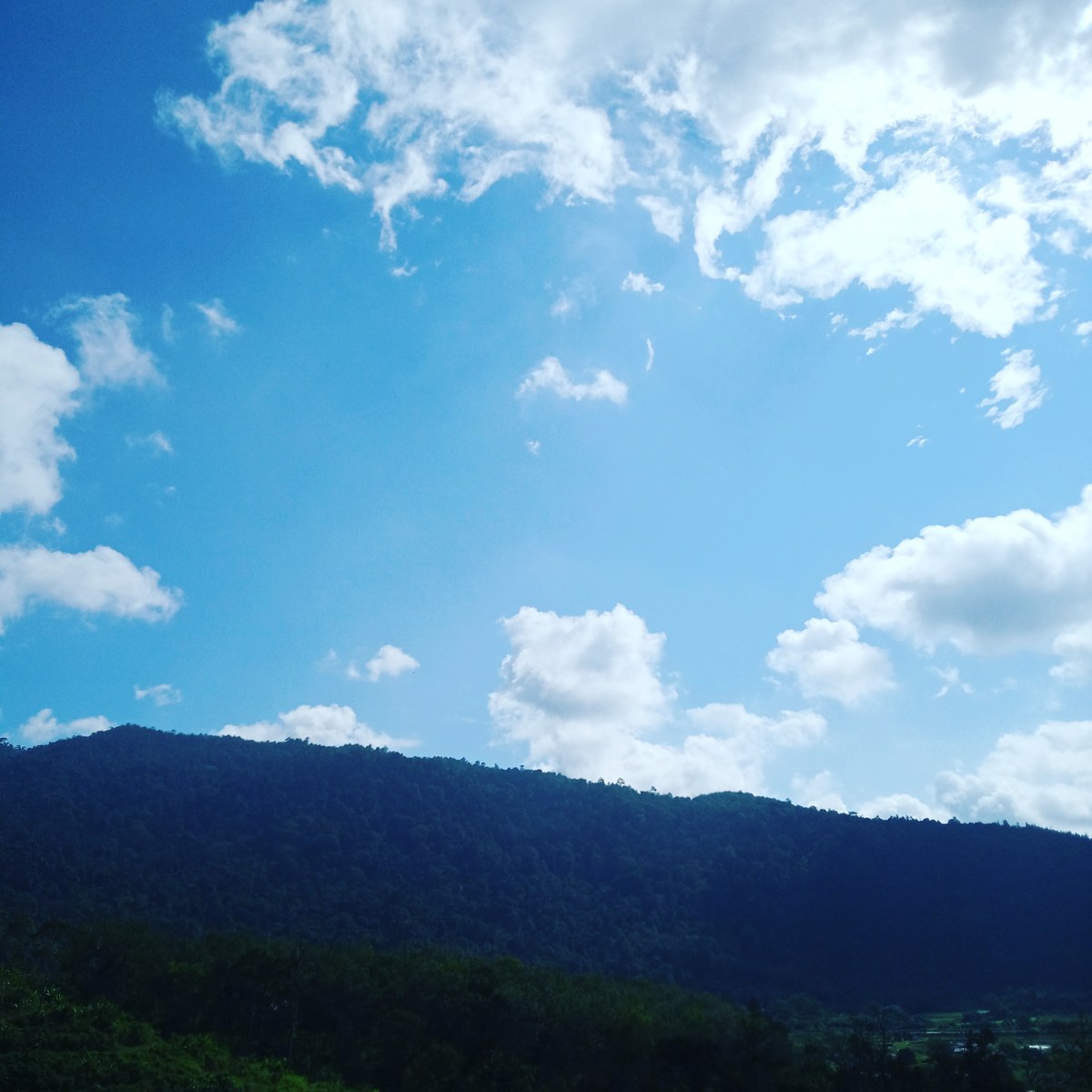 Bukit Belau