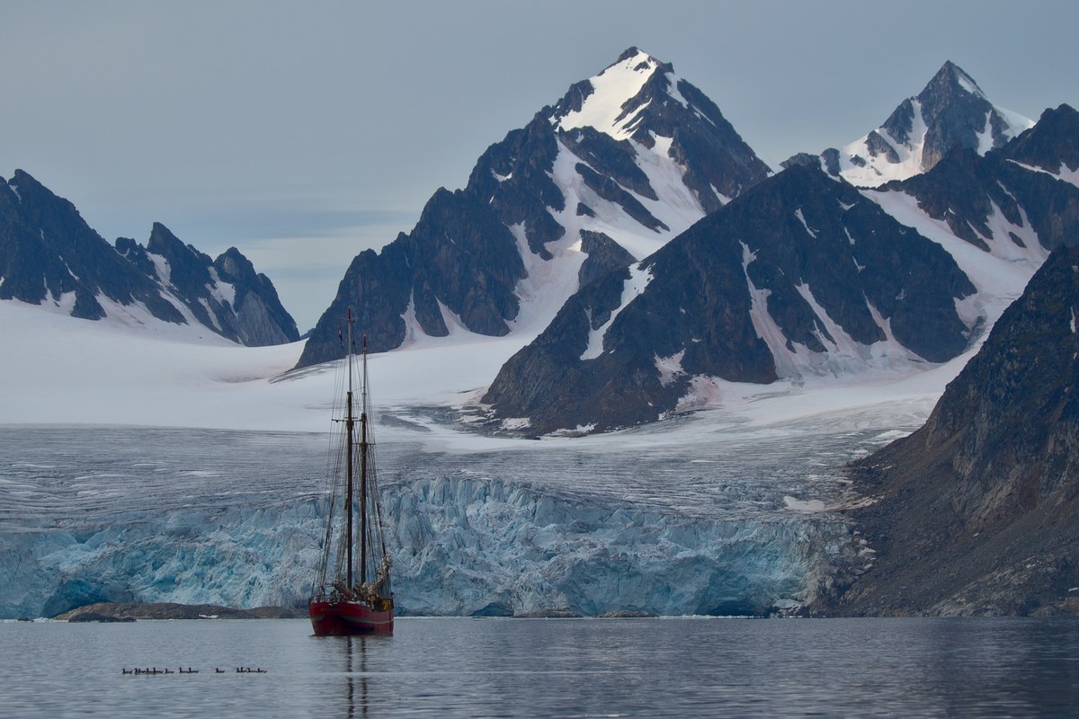 Libreen
