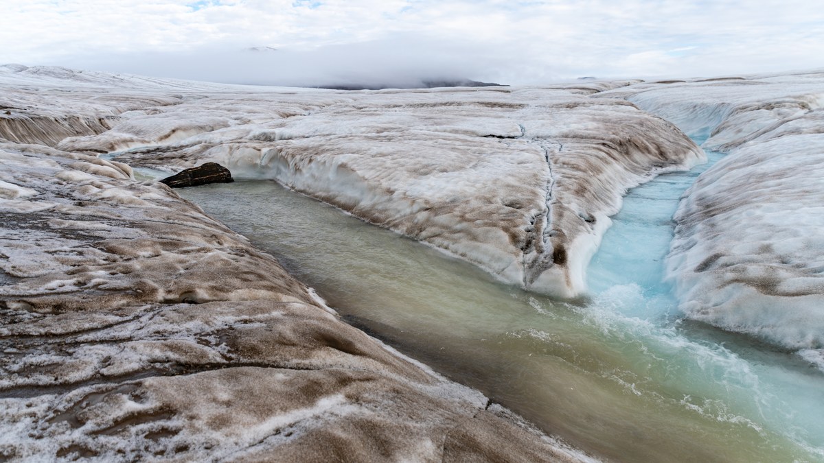 Eleanorbreen