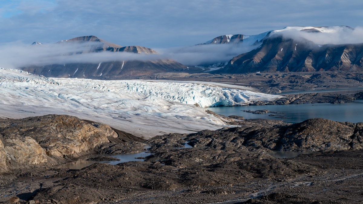 Pollockbreen