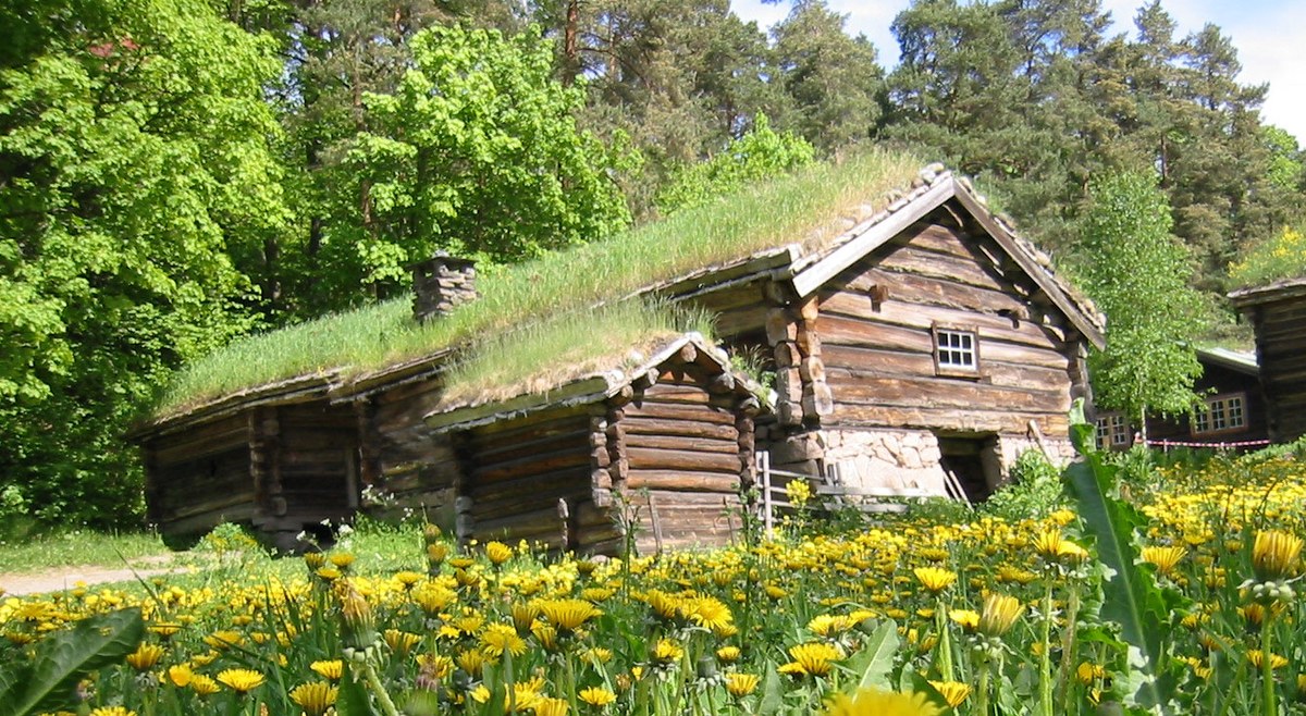 Log Cabin Peak