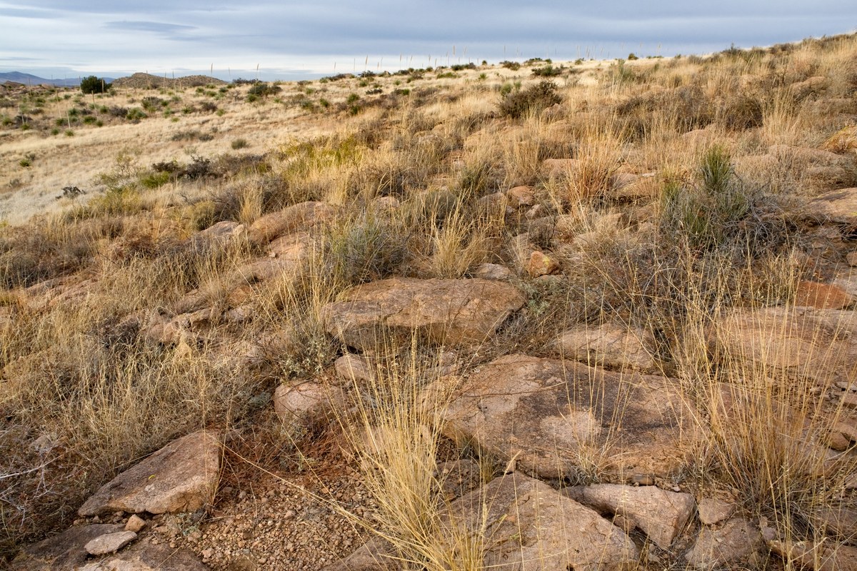Nutt Mountain