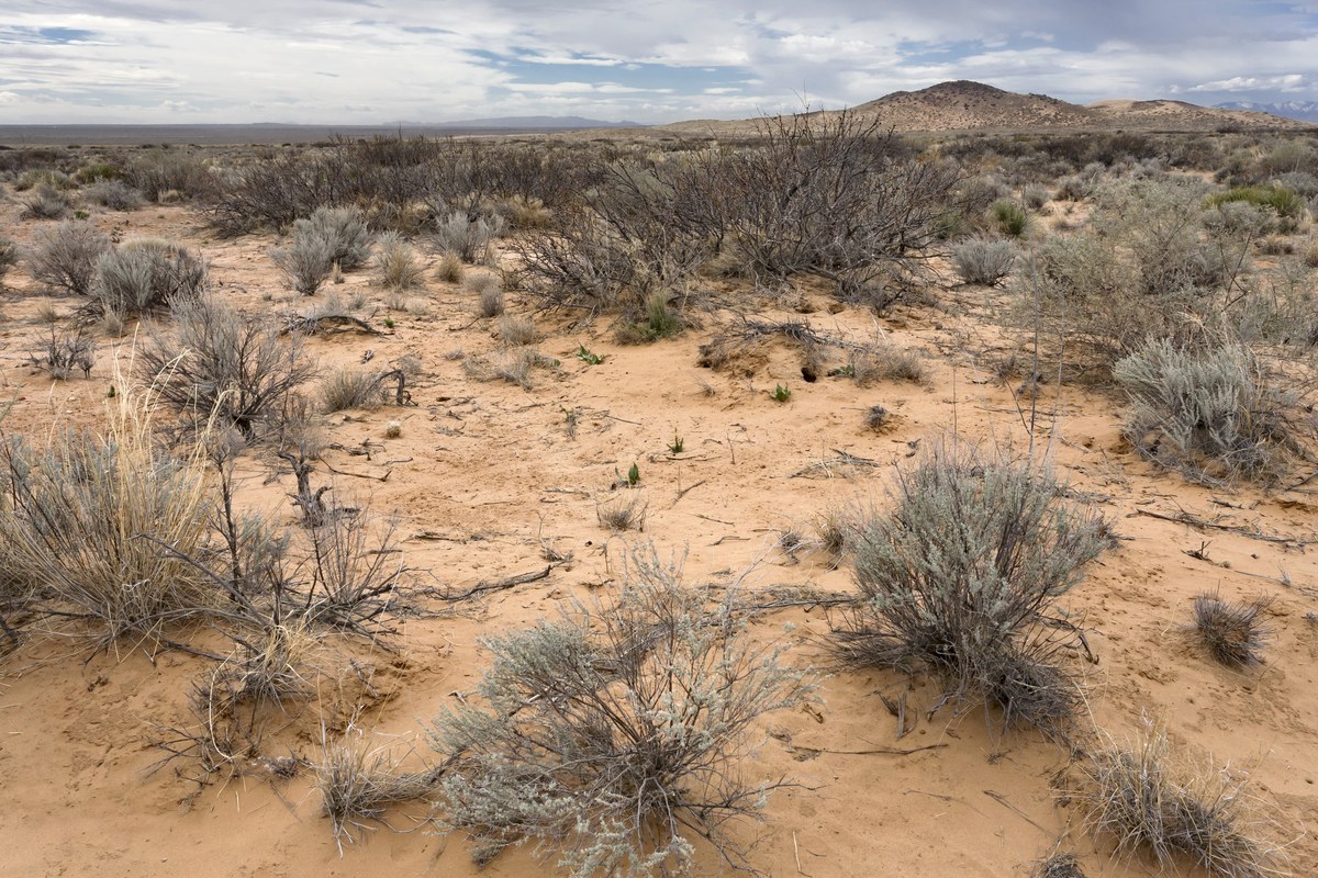 Sand Mountain