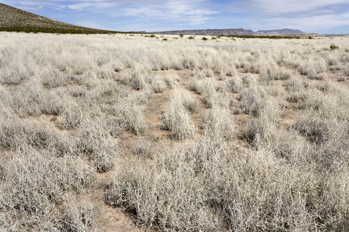 Massacre Peak