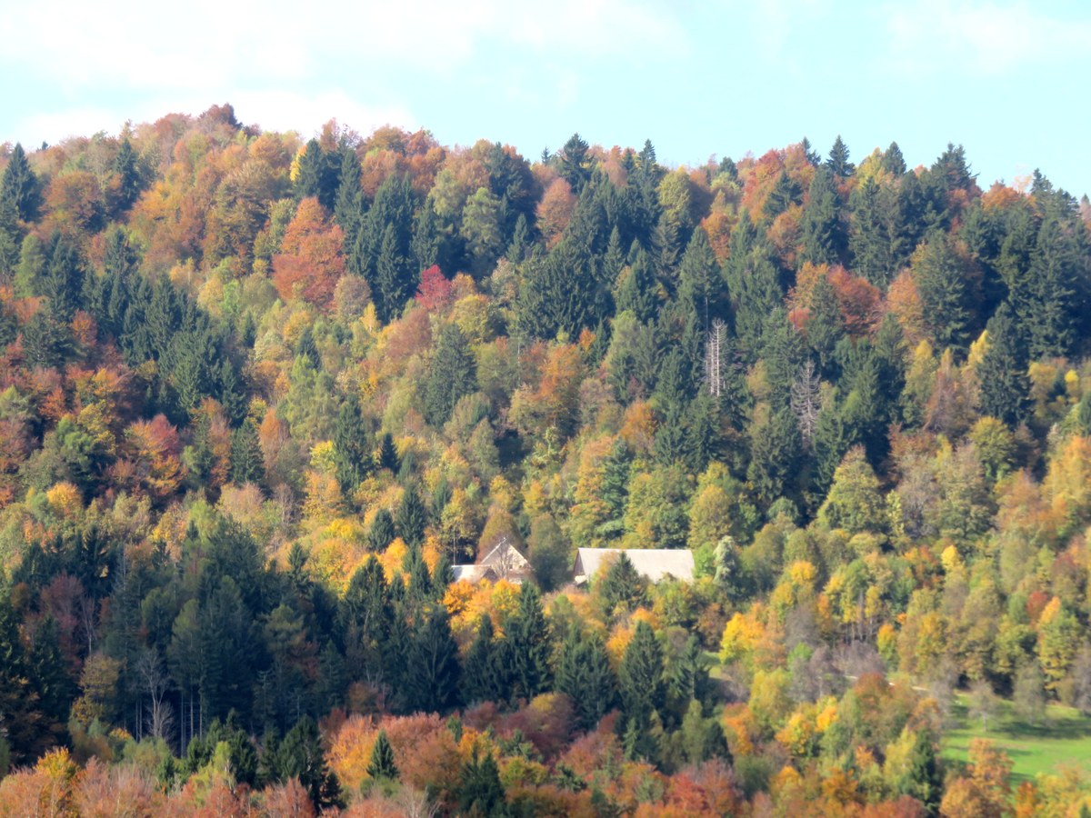 Škfje