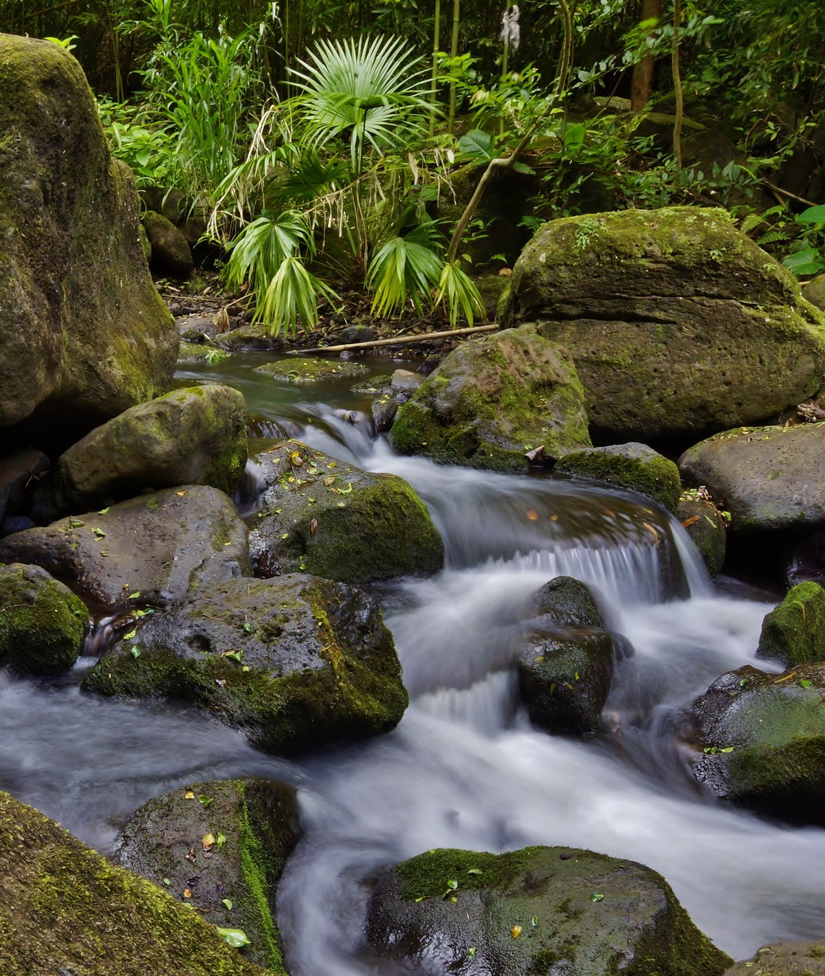 Nāpuʻumaiʻa
