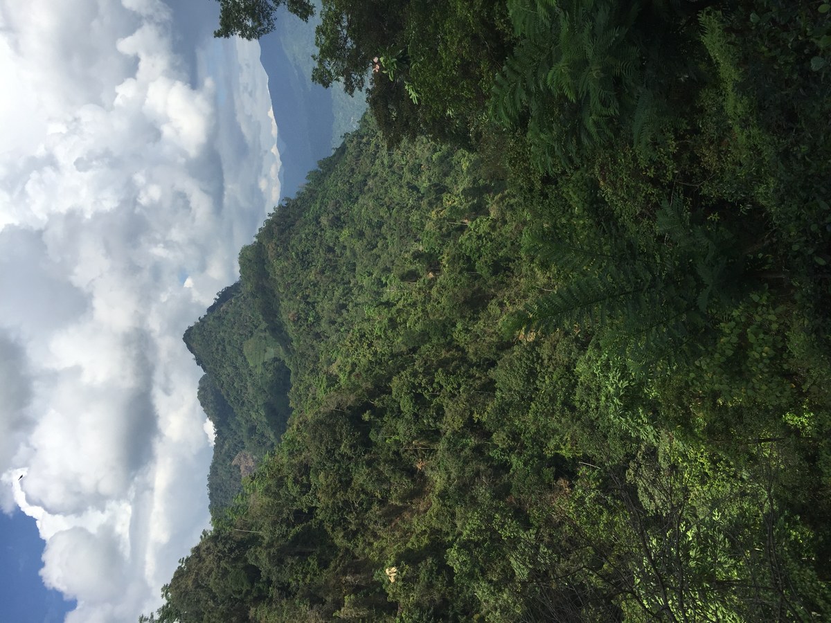 Kokatiyagala