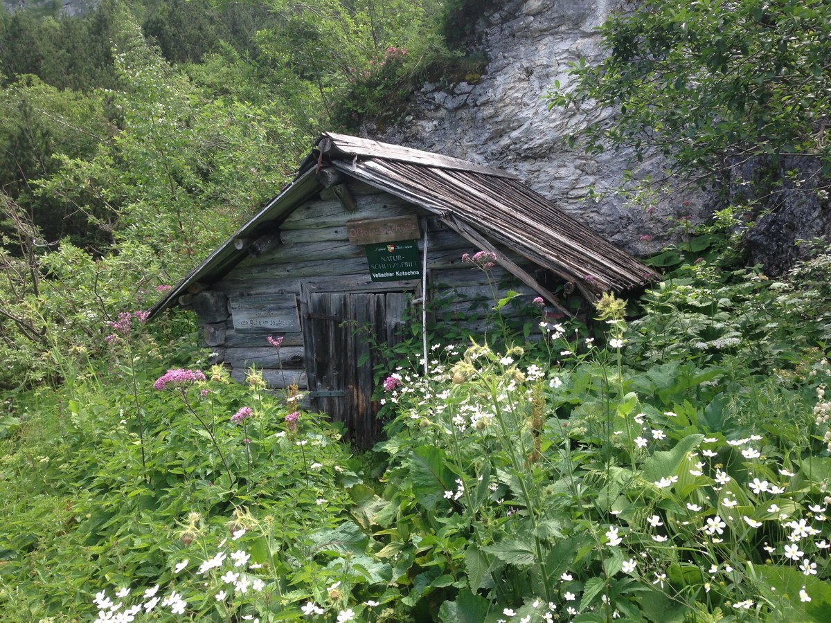 Krnitza