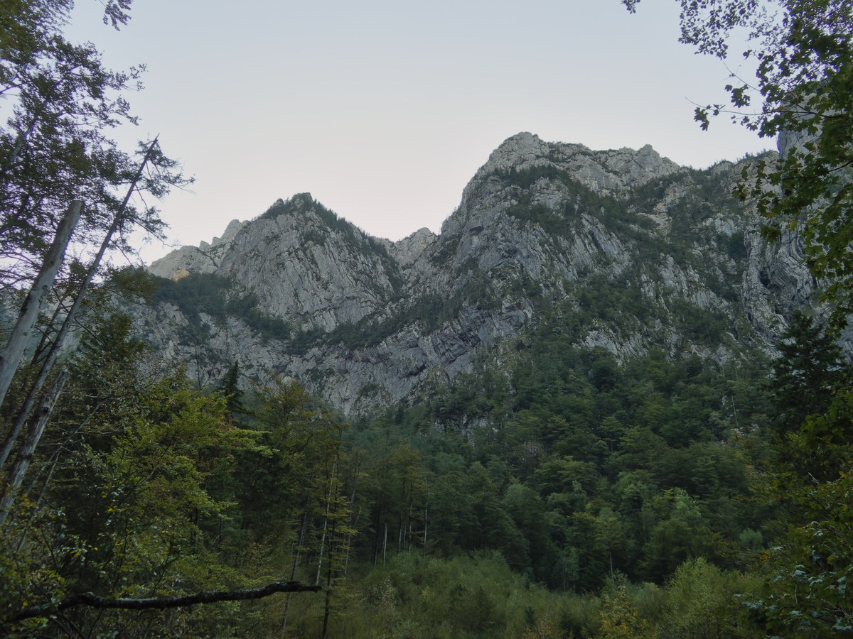 Vežica