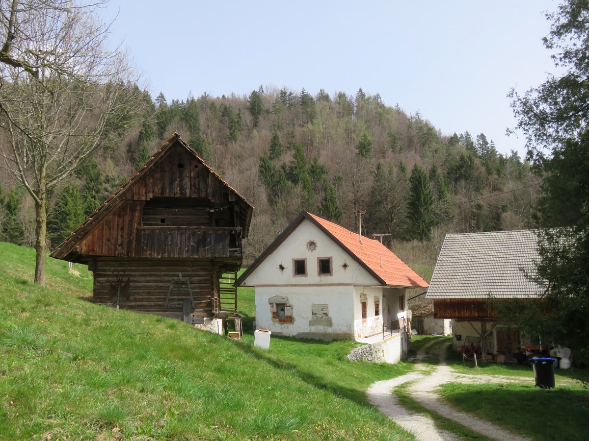 Kamniški vrh