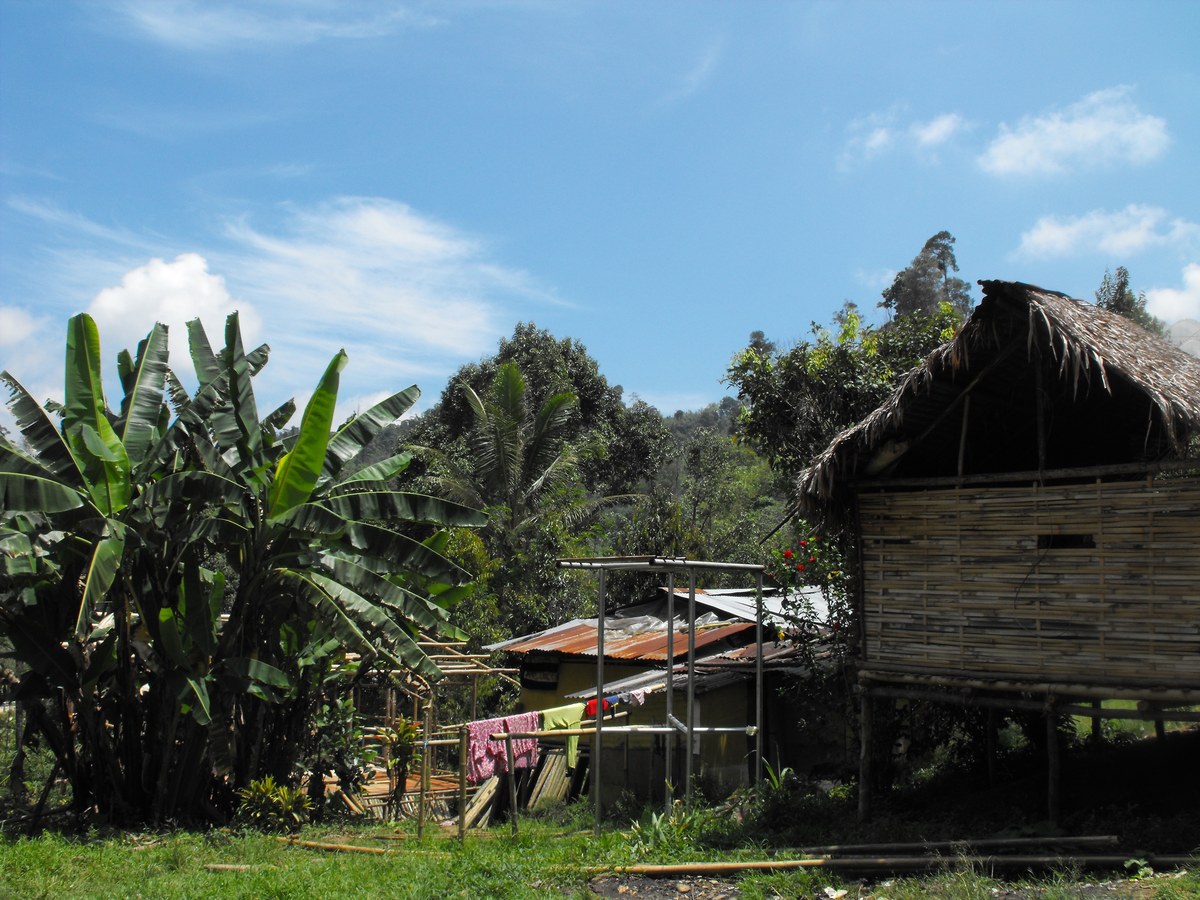 Bukit Senjort