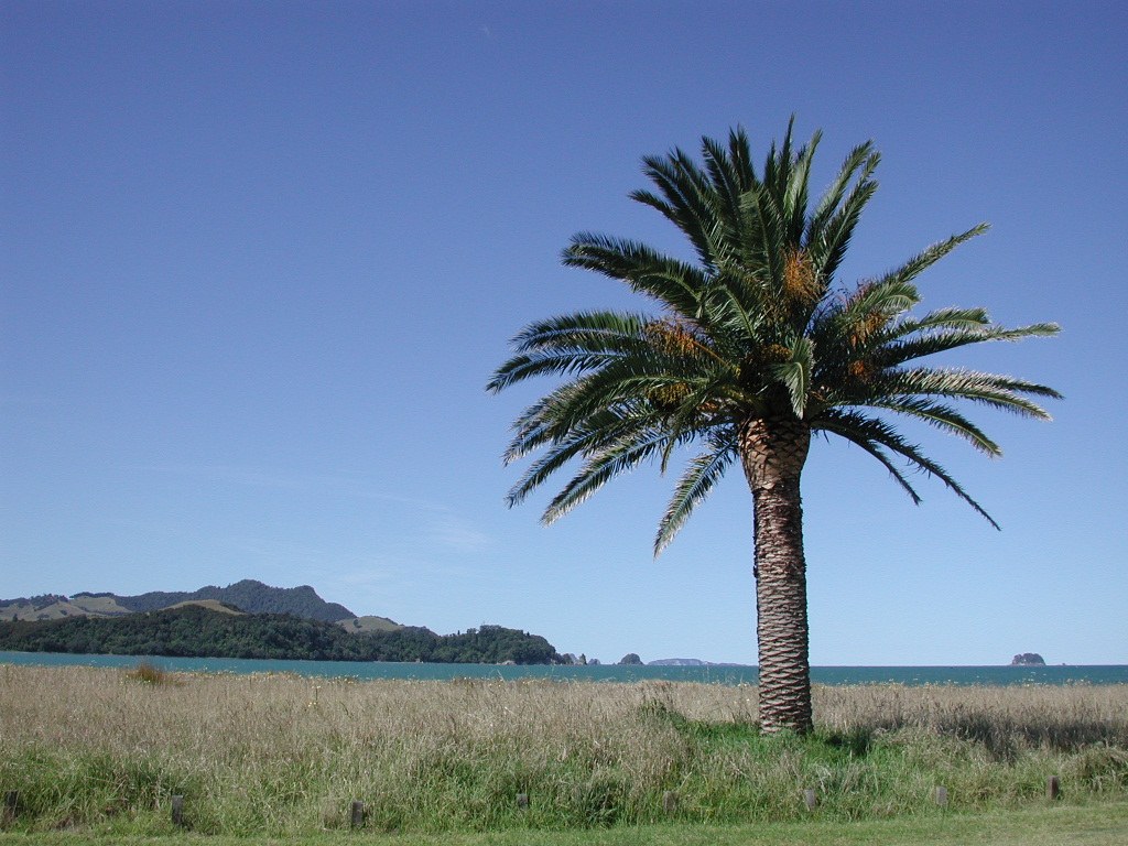 Ohuka Beach