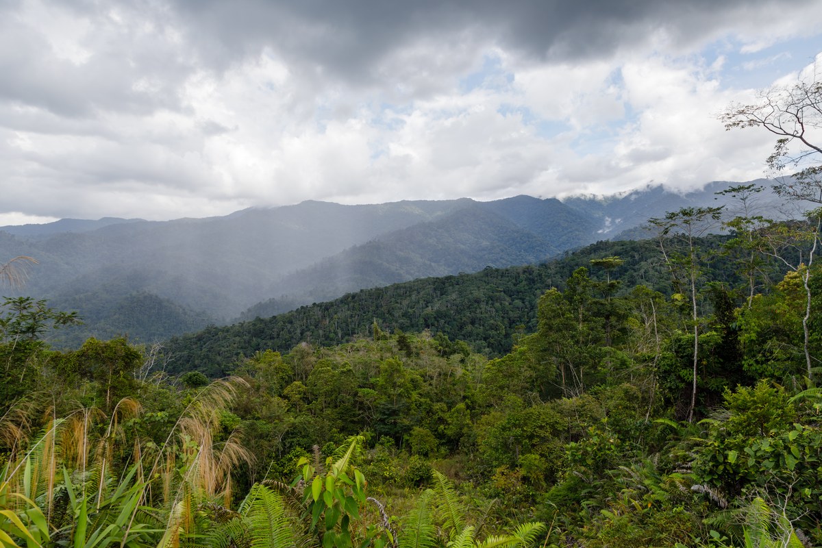 Crocker Range National Park