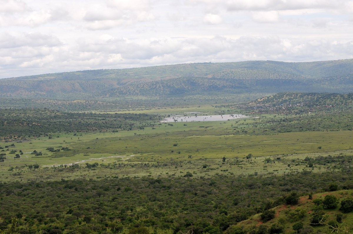 Akagera National Park