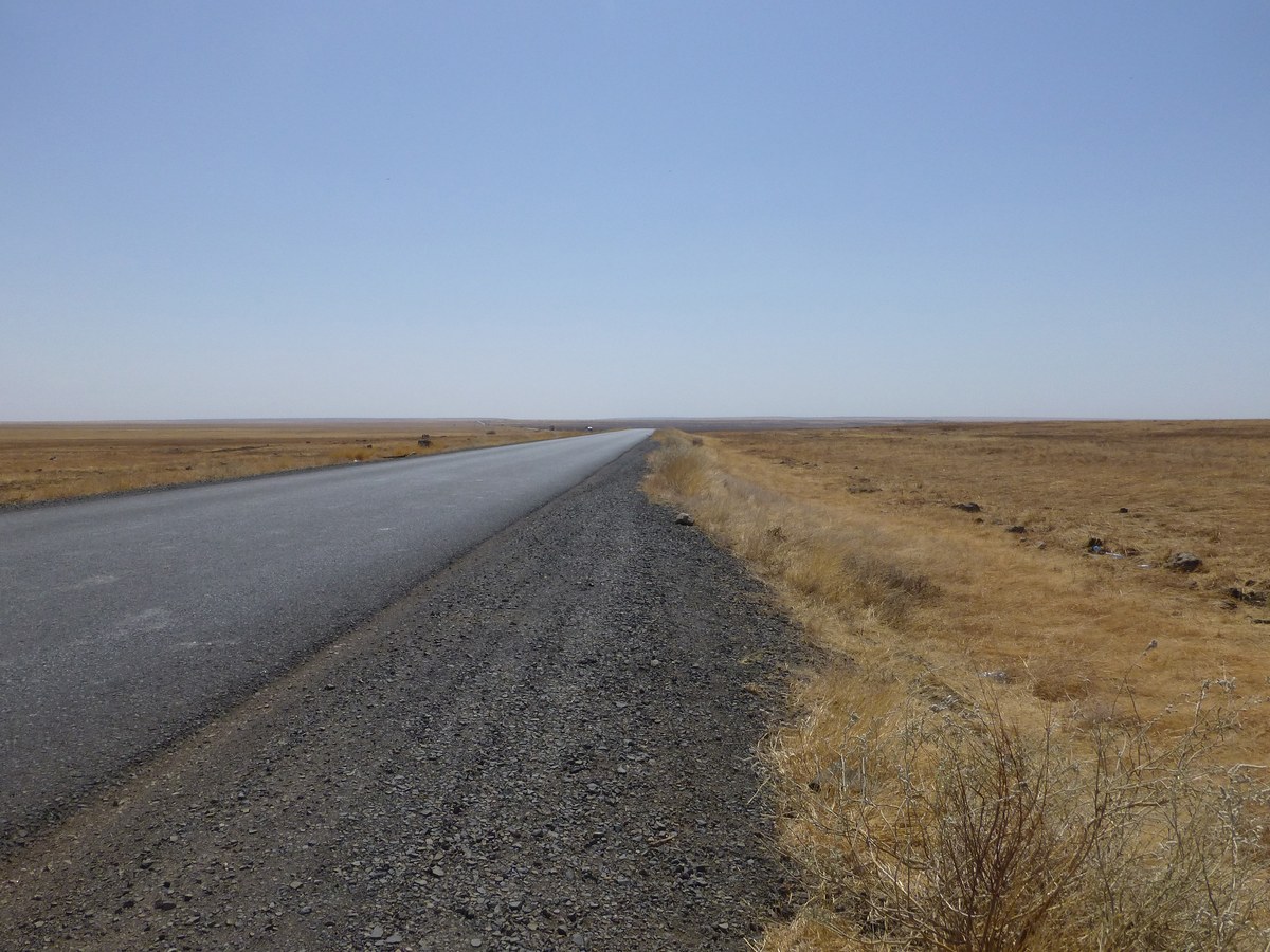 Yangudi Rassa National Park
