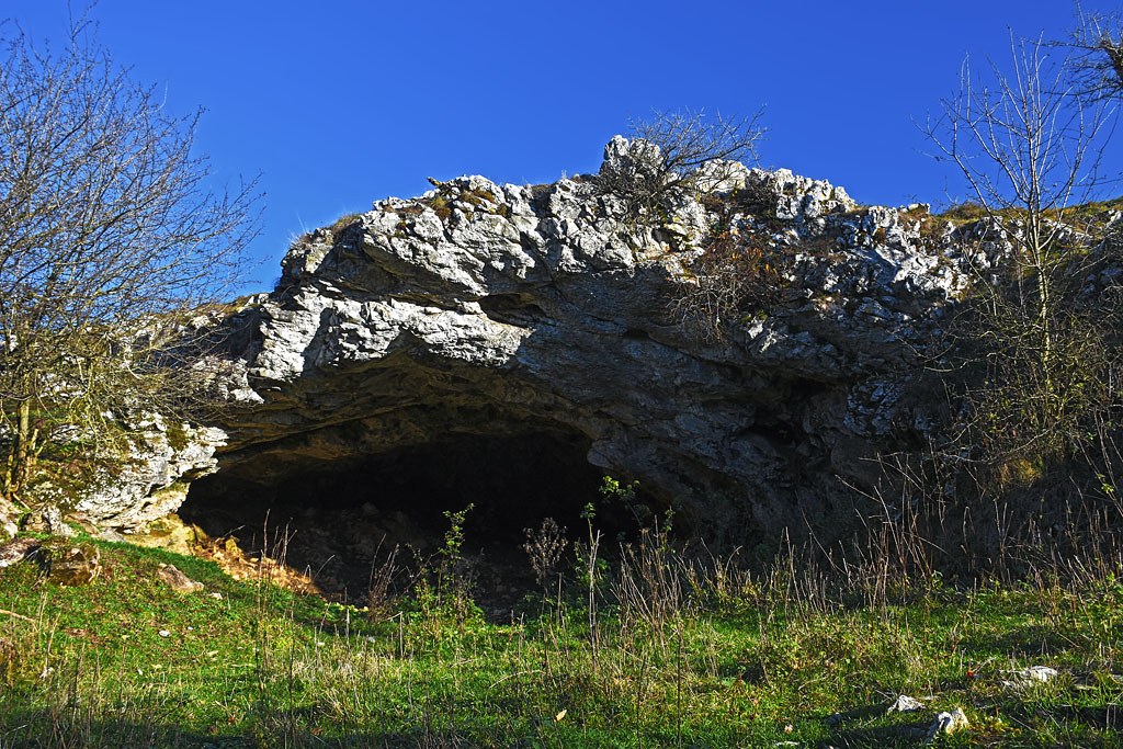 Parska golobina