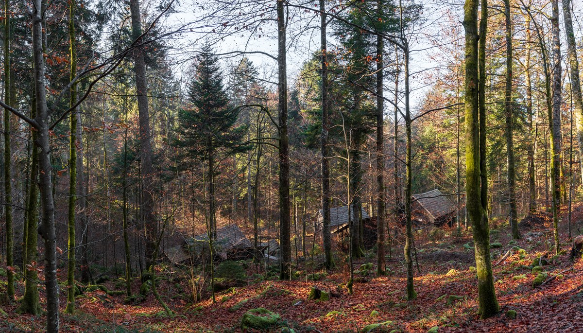 Ahnenloch