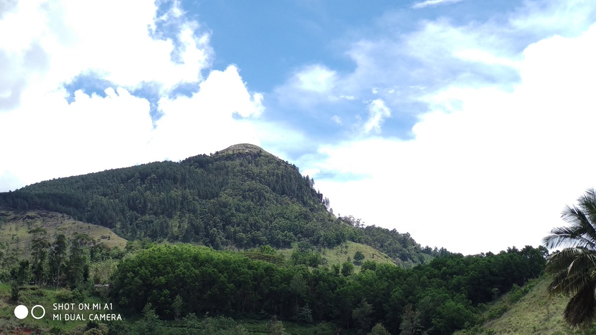 Galbokka