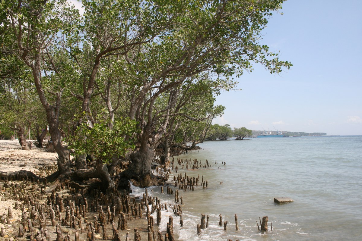 Tampat Beach