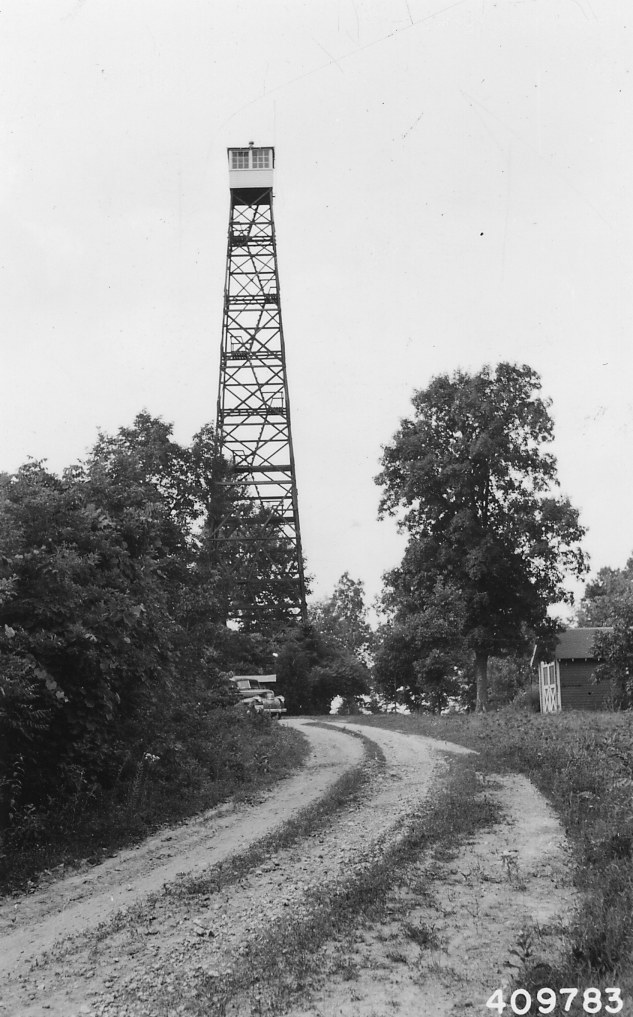 Bass Hill Lookout Tower
