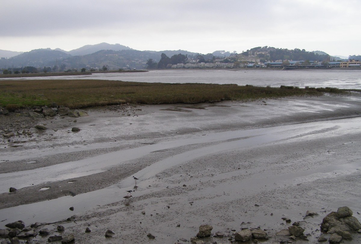 Mud Bay