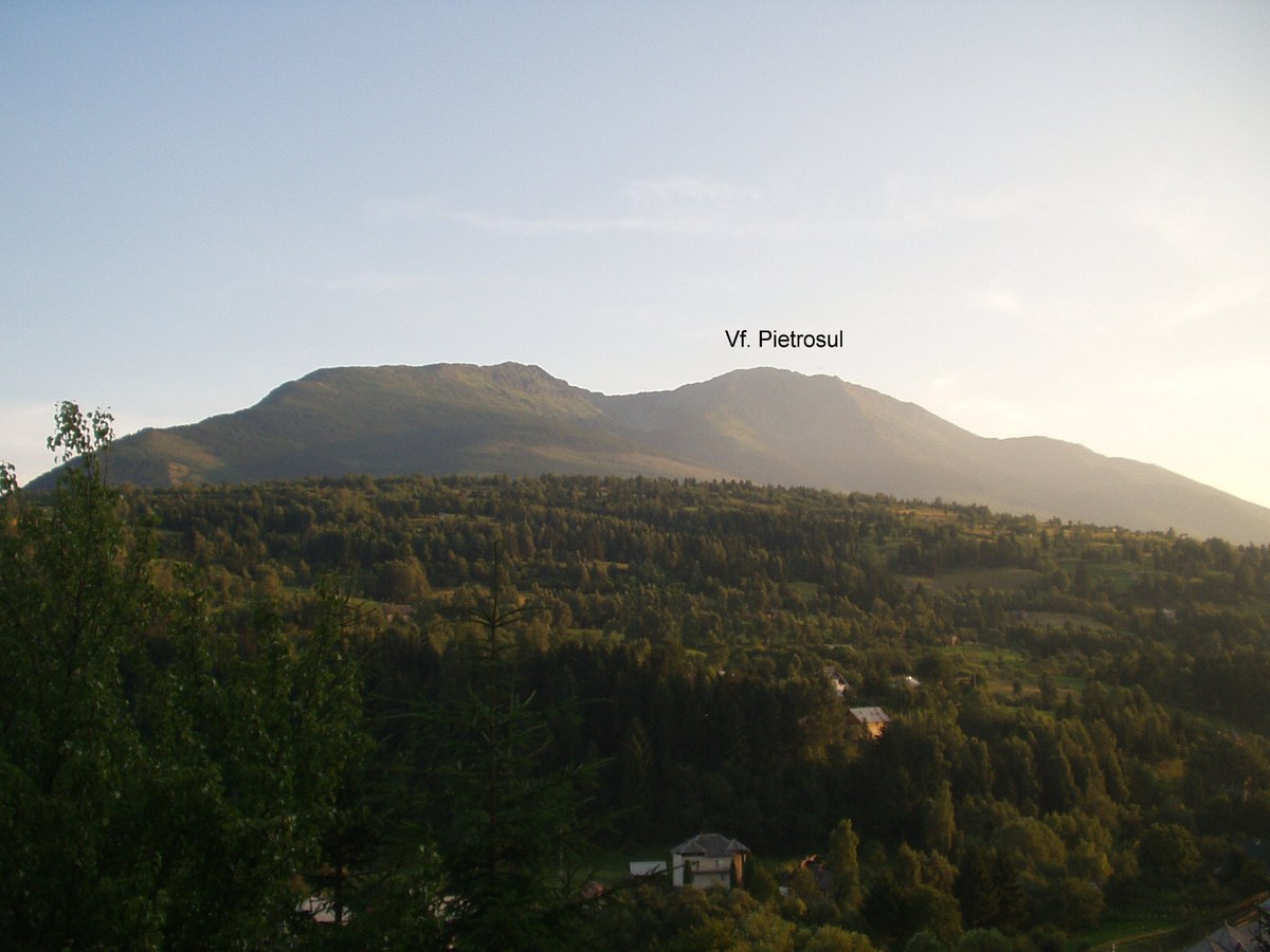 Pietrosul
