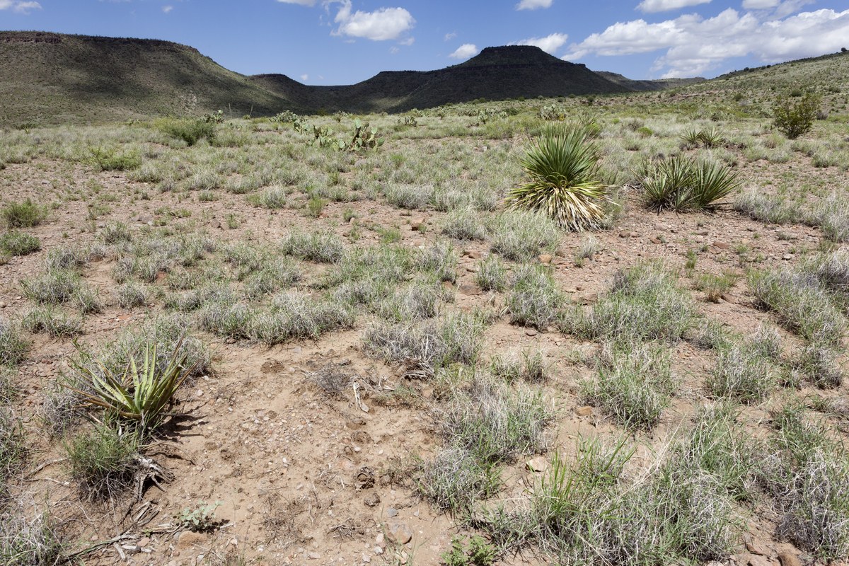 The Saddle Mountain