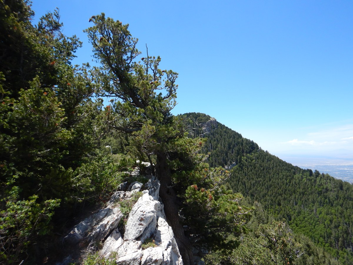 North Sandia Peak