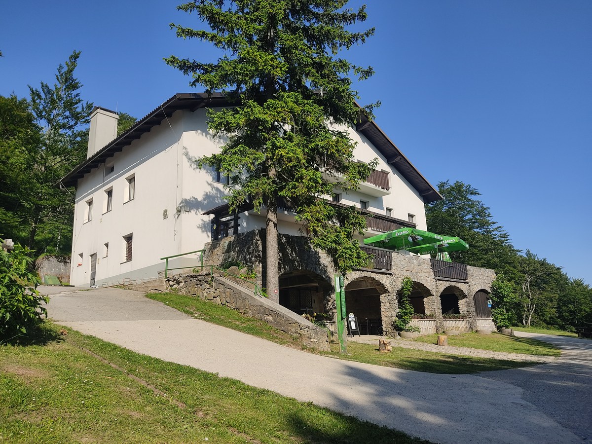 Mrzlica