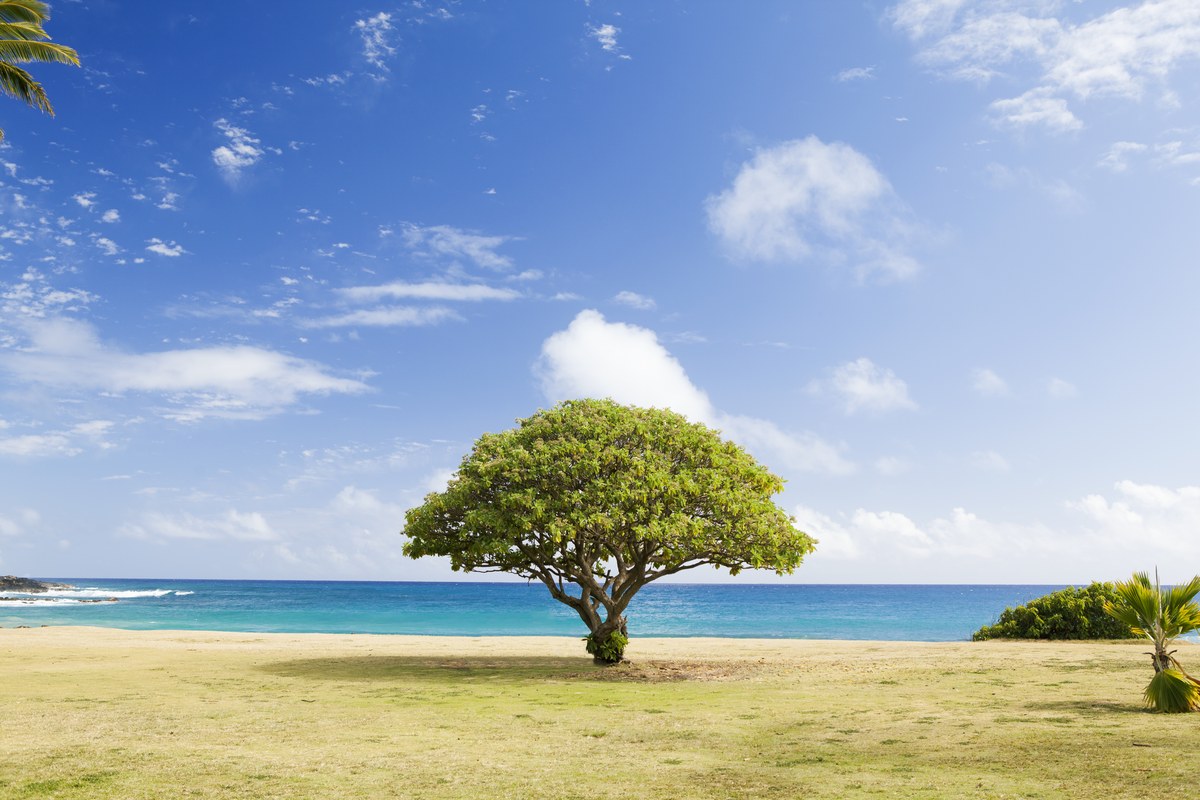 Poipu Beach Park
