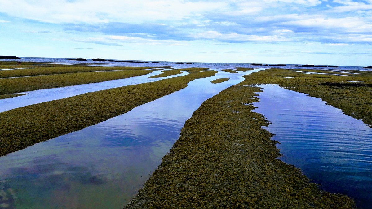 Playa Santa Isabel