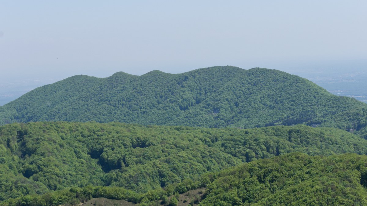Oklinak