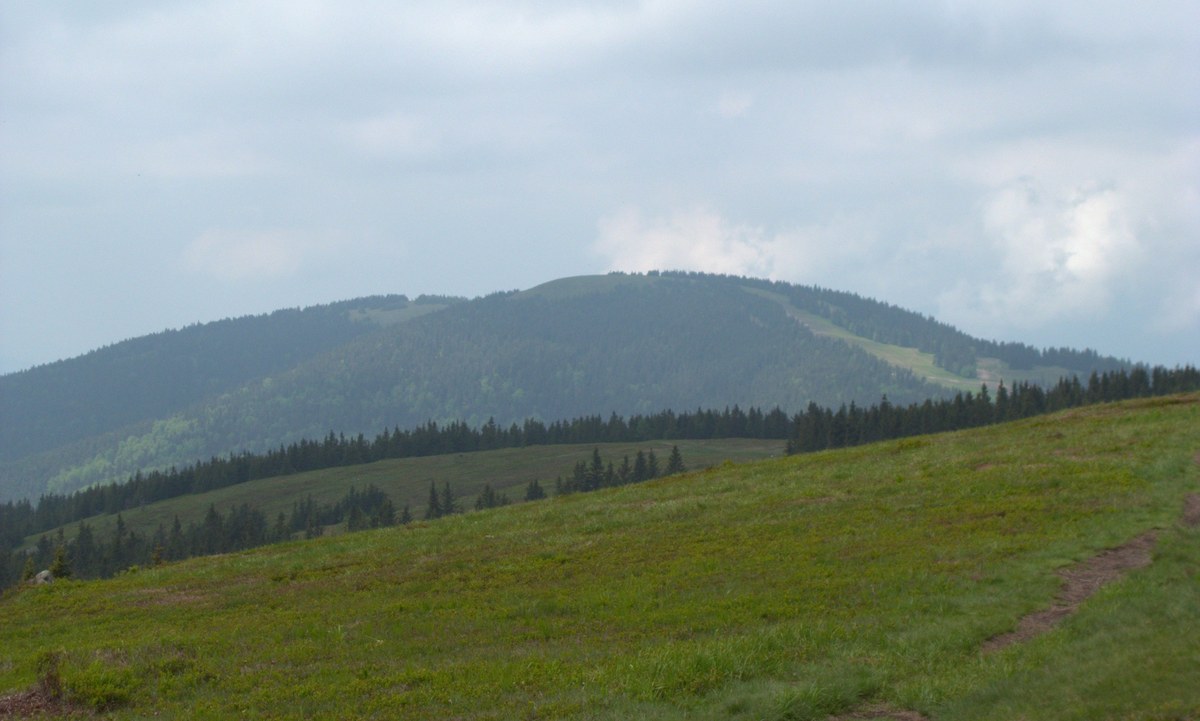 Črni Vrh