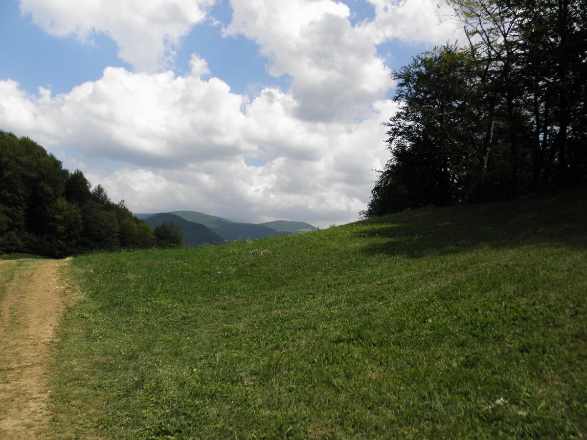 Defileul Jiului National Park
