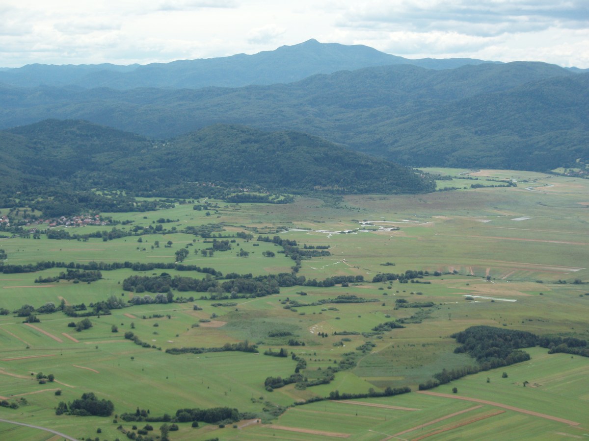 Slivnica