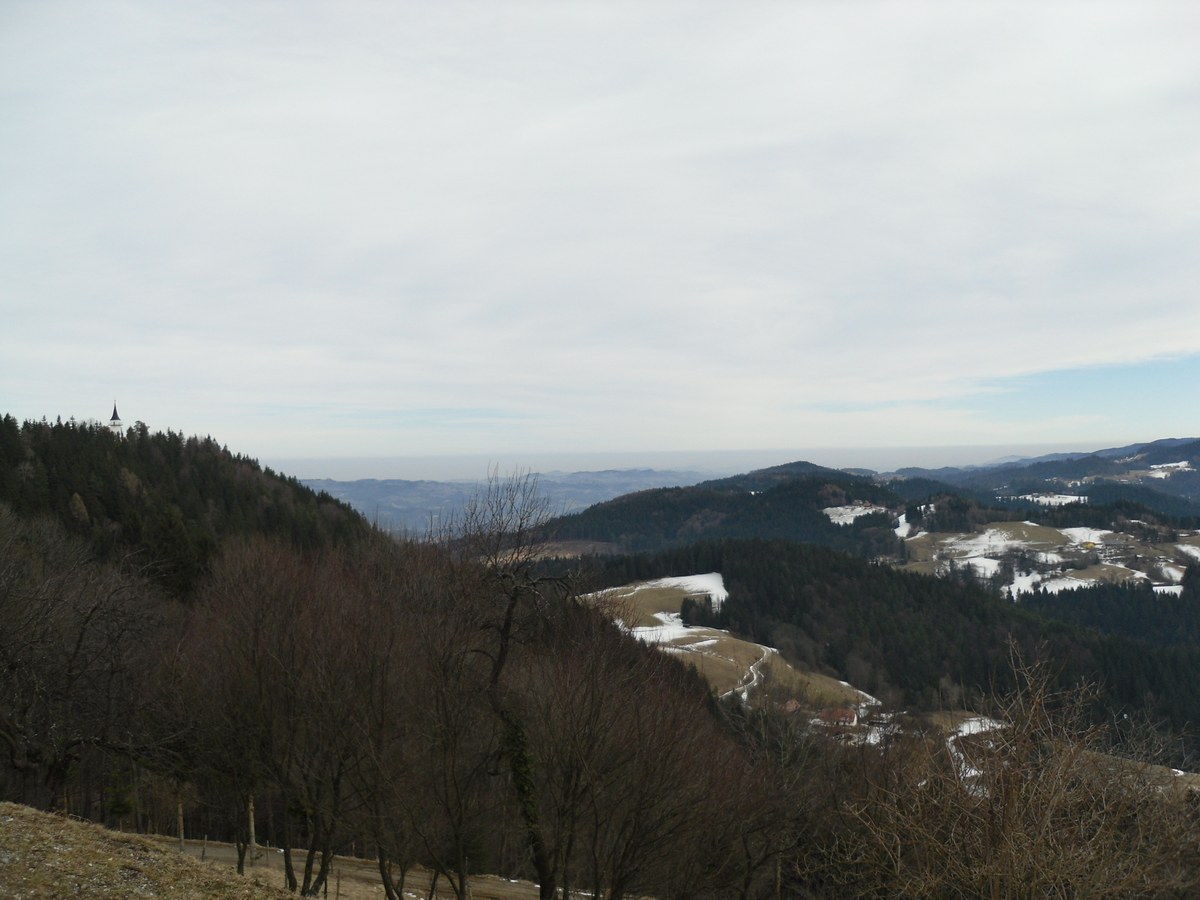 Pongrac