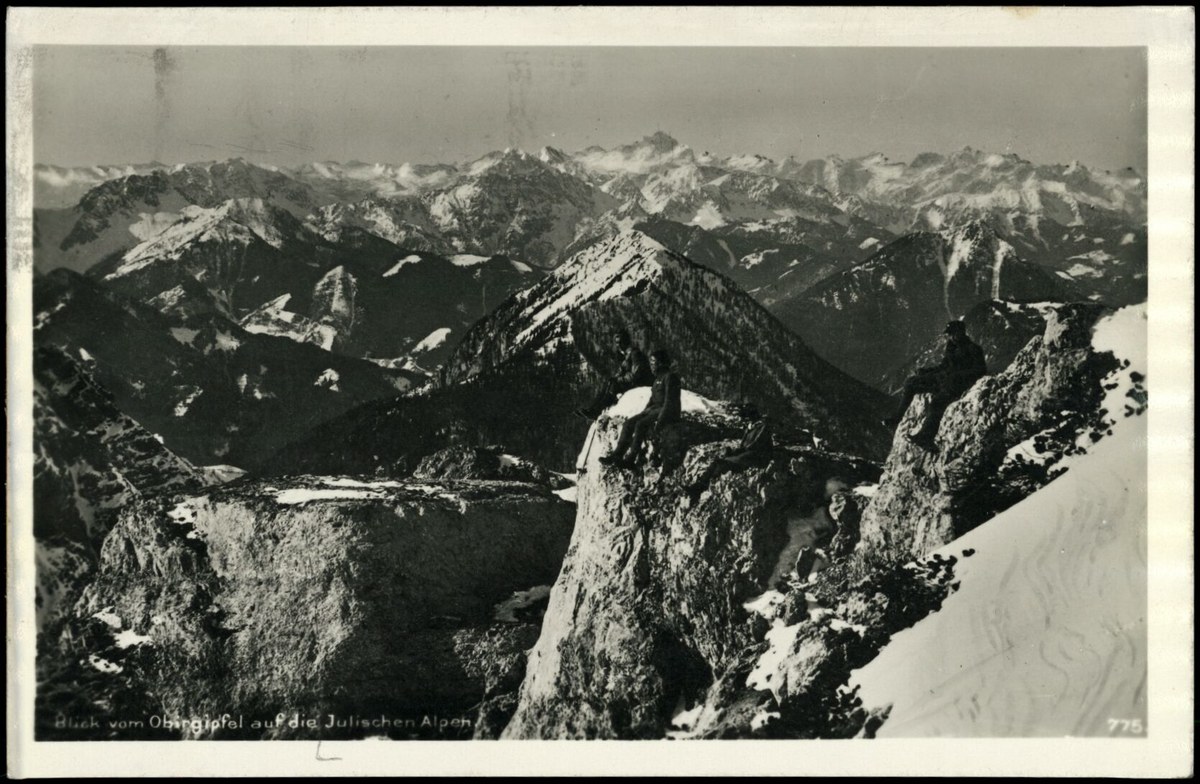 Plaski Vogel
