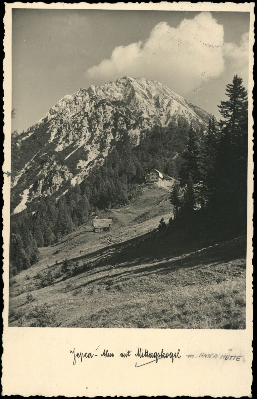 Crni Vrh