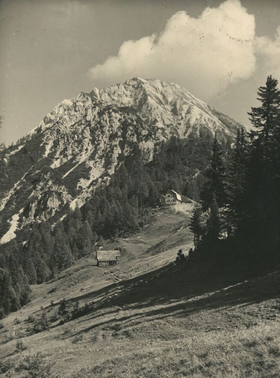 Mojstrovica