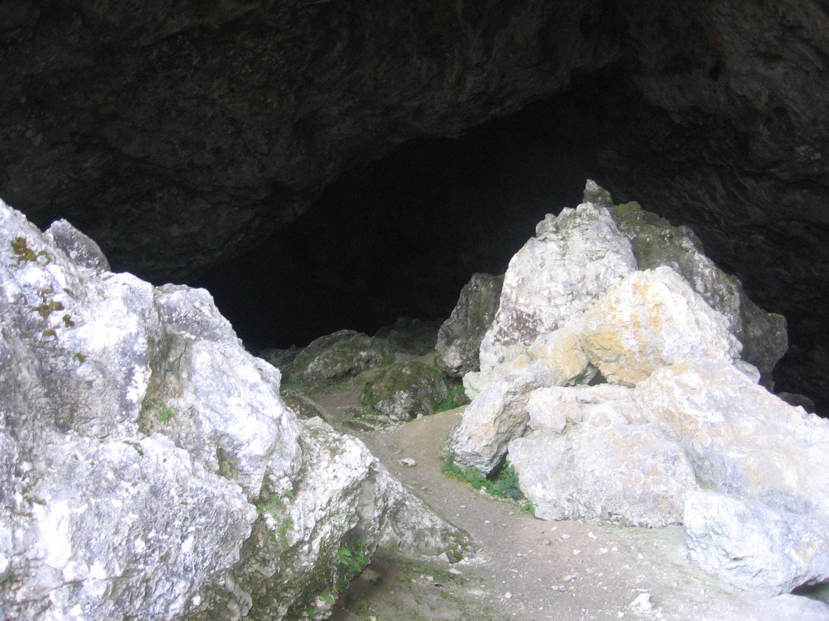 Govešča