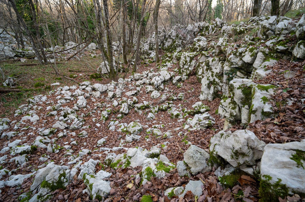 Bestažovca