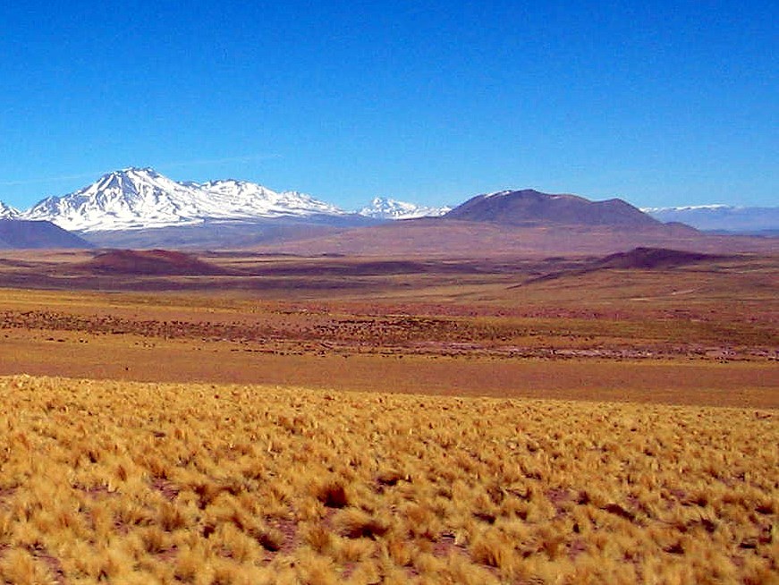 Cerro Toloncha