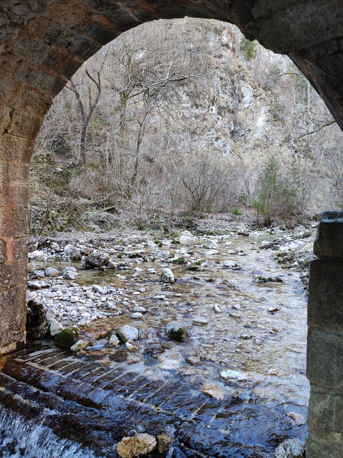 Javorški Vrh
