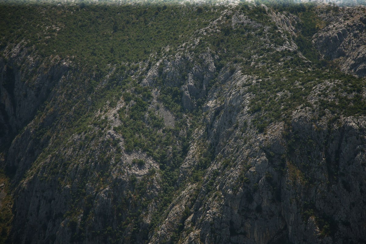 Trojama
