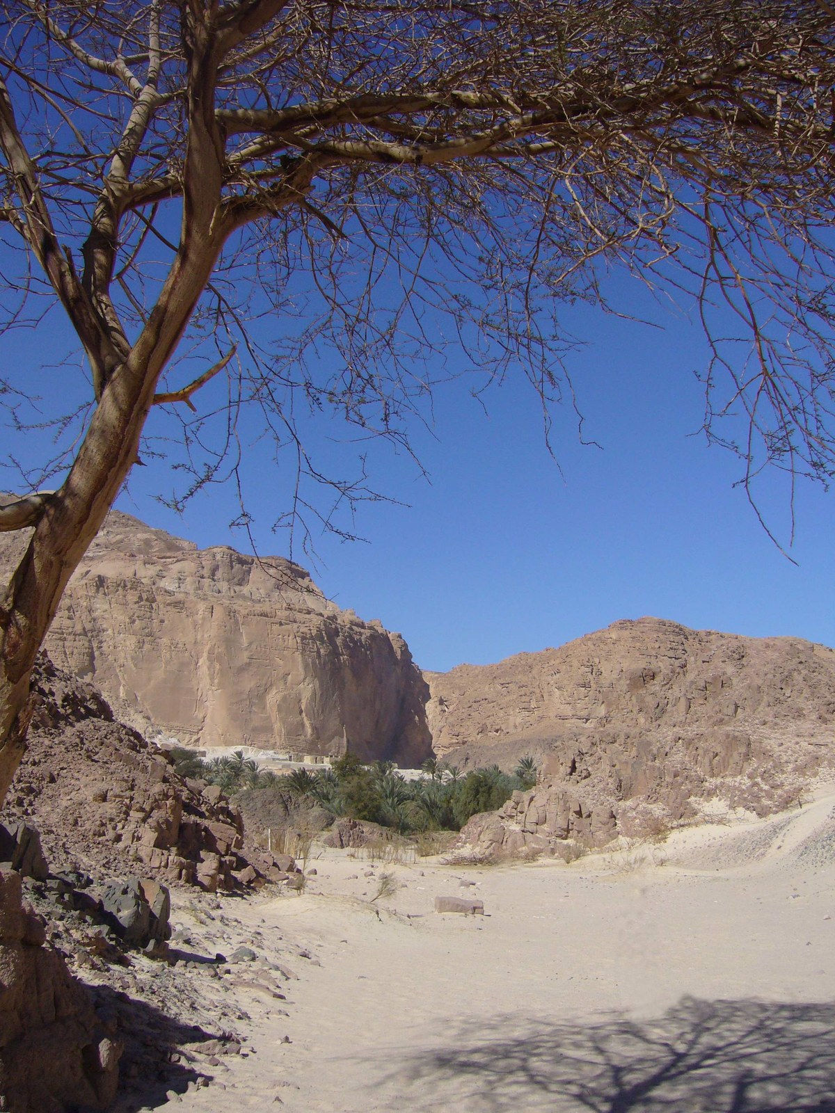 Jabal Abū Şūrah