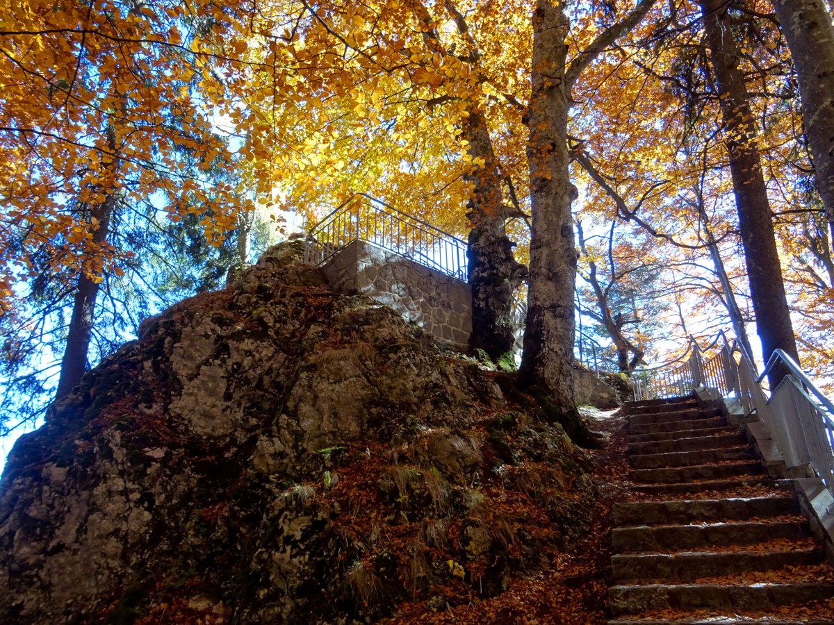 Franz Joseph Cliffs