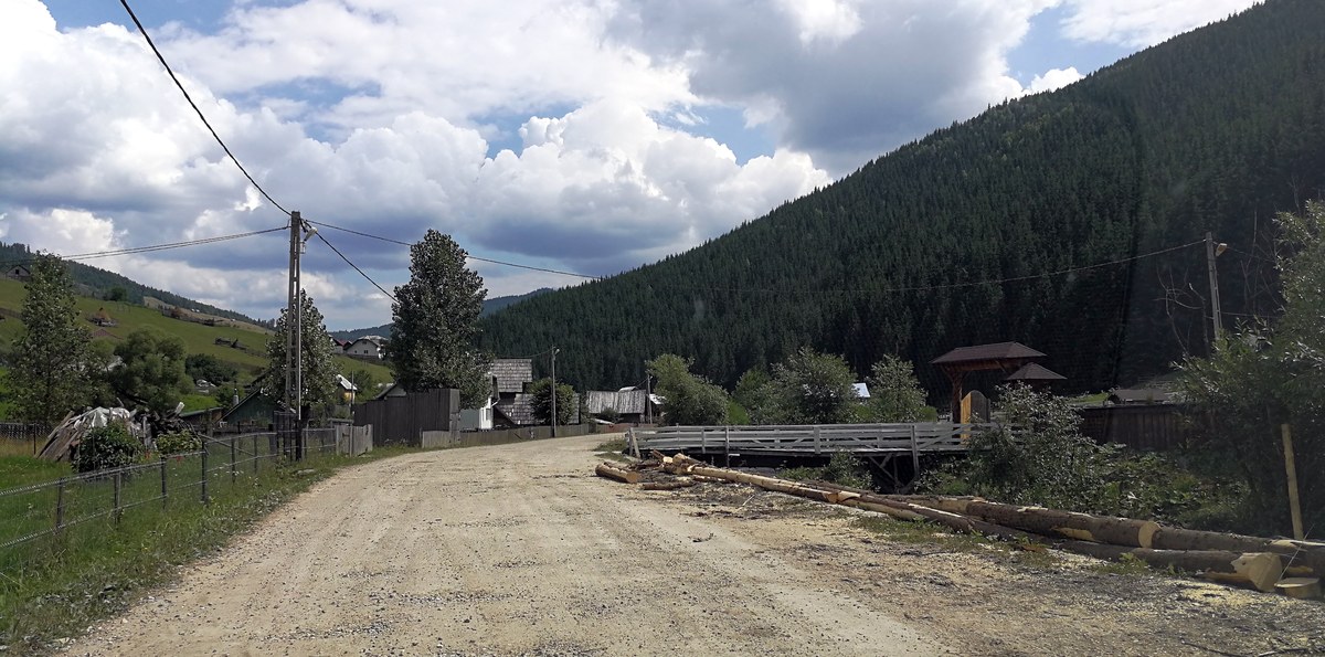 Piciorul Dârmoxa