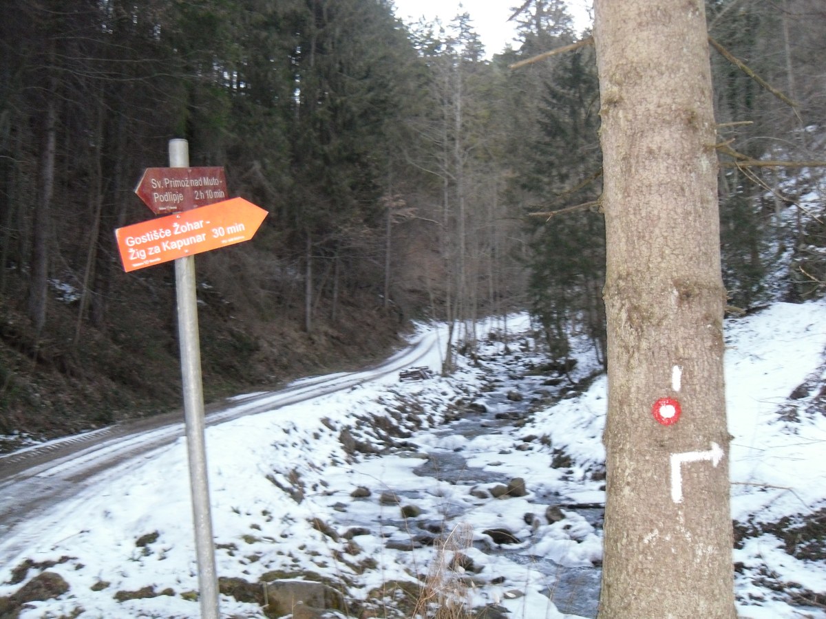 Klementkogel