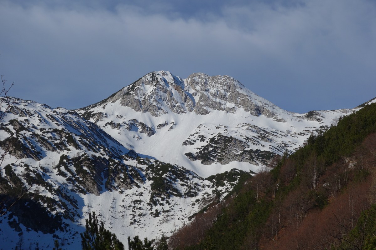 Raskovec