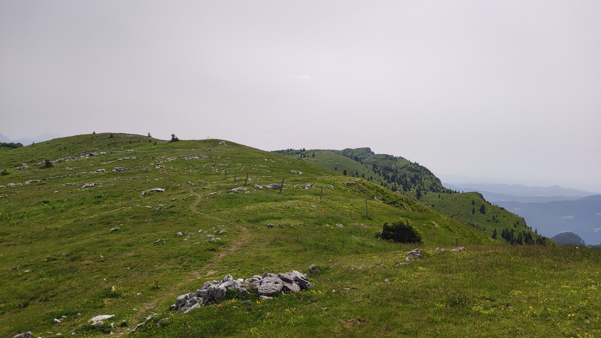 Kremant
